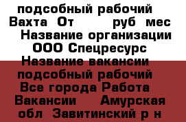 подсобный рабочий . Вахта. От 30 000 руб./мес. › Название организации ­ ООО Спецресурс › Название вакансии ­ подсобный рабочий - Все города Работа » Вакансии   . Амурская обл.,Завитинский р-н